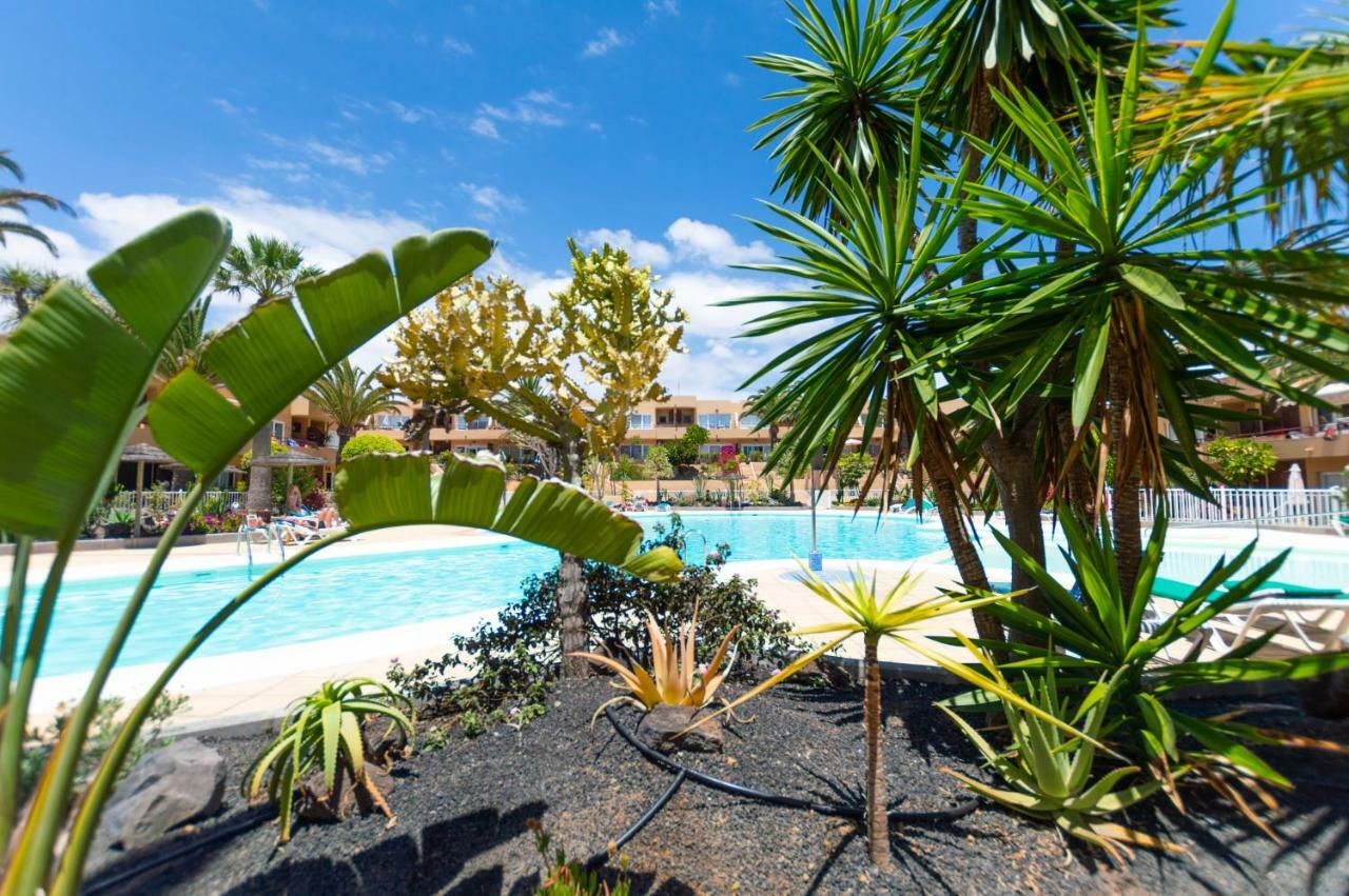 Alicebungalowpoolview-Summer Corralejo Exterior foto