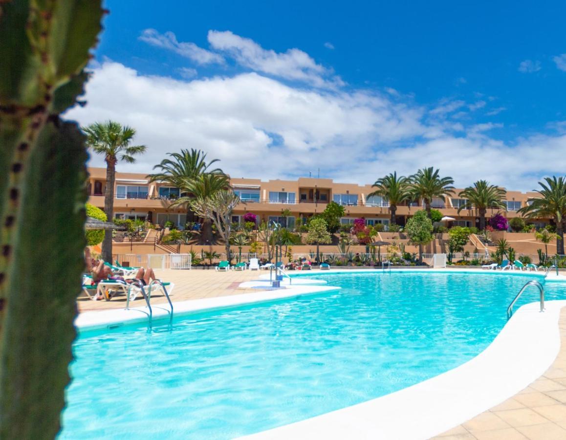 Alicebungalowpoolview-Summer Corralejo Exterior foto